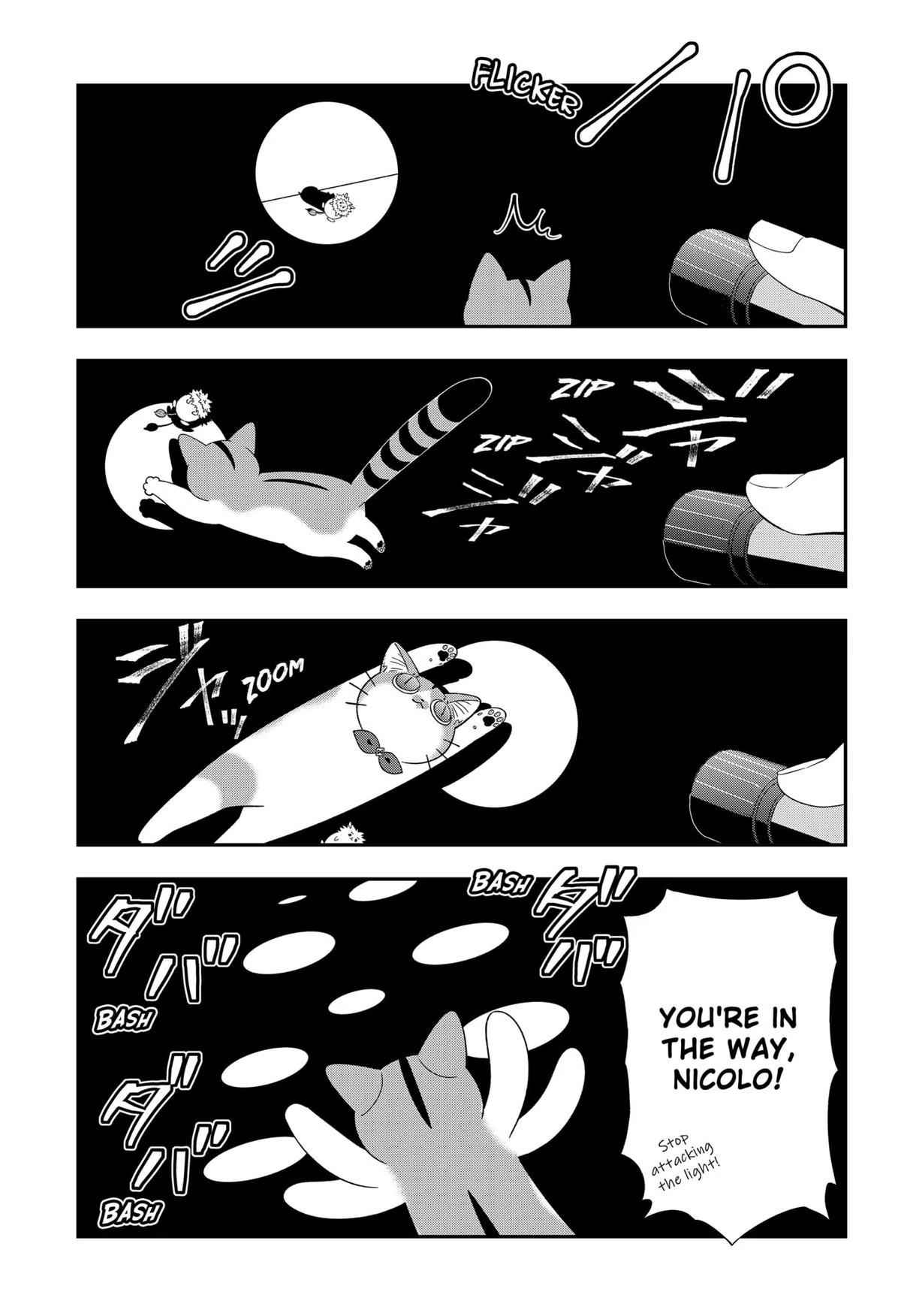 74902887 1200 1752 181730